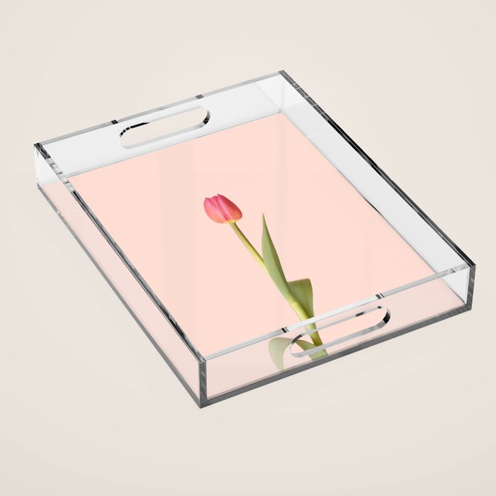 The pink tulip | Floral photography | Flower botanical photograph Acrylic Tray Gallery Image 1