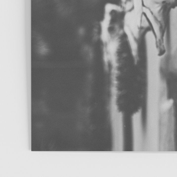Relics of West Texas x Marfa Photography Poster Gallery Image 3