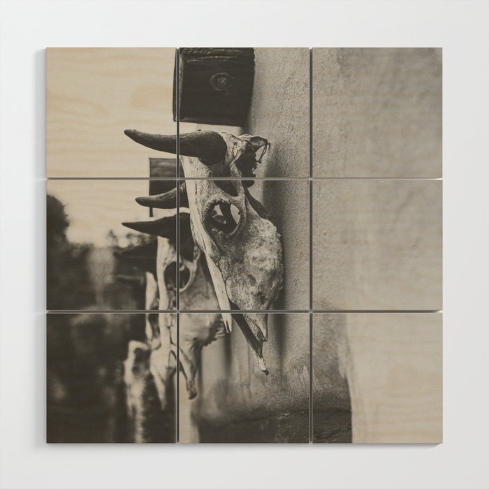 Relics of West Texas x Marfa Photography Wood Wall Art Gallery Image 1