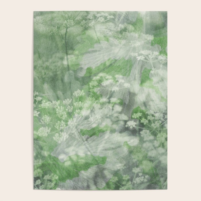 botanical abstract 101 - green double exposure floral Poster Gallery Image 1