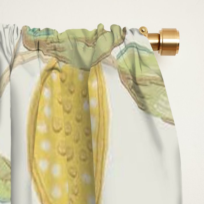 William Morris Lemon Tree Bayleaf Window Curtain Gallery Image 2