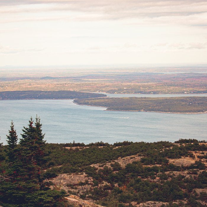 Wild and Free x Sunset over Acadia Coffee Mug Gallery Image 2