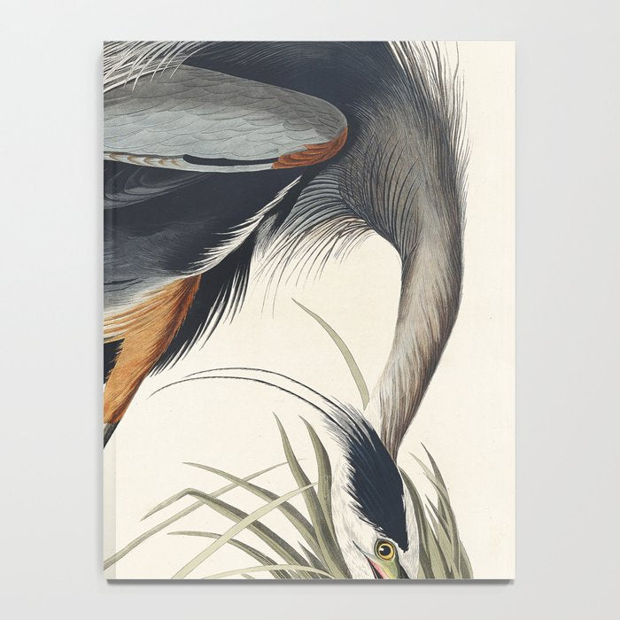 Great blue Heron from Birds of America (1827) by John James Audubon Notebook Gallery Image 4