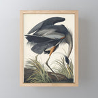 Great blue Heron from Birds of America (1827) by John James Audubon Mini Art Print Gallery Image 1