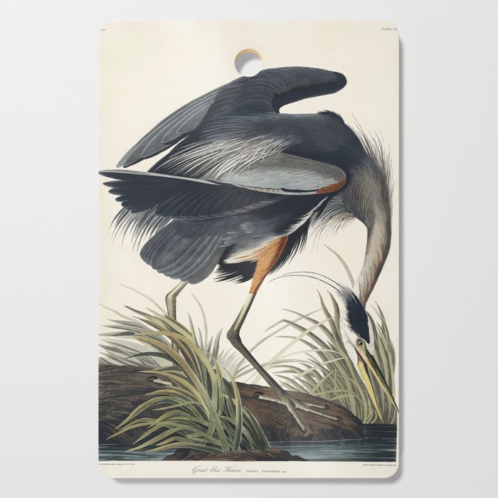 Great blue Heron from Birds of America (1827) by John James Audubon Cutting Board Gallery Image 1