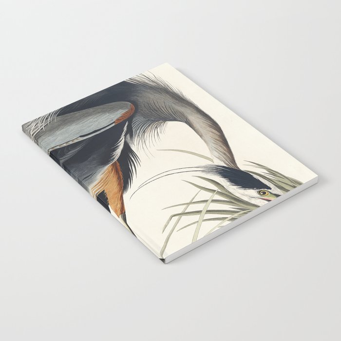 Great blue Heron from Birds of America (1827) by John James Audubon Notebook Gallery Image 1