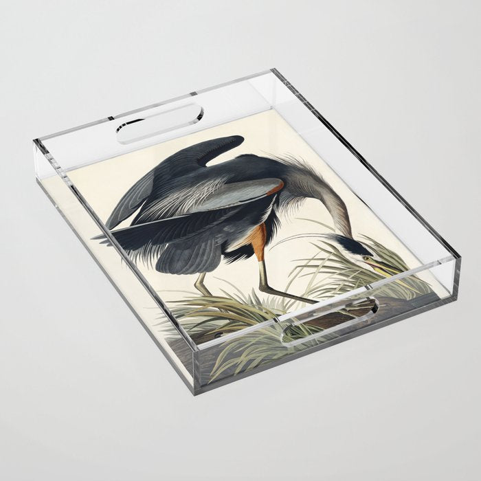 Great blue Heron from Birds of America (1827) by John James Audubon Acrylic Tray Gallery Image 1