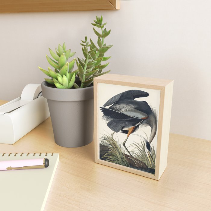 Great blue Heron from Birds of America (1827) by John James Audubon Mini Art Print Gallery Image 2