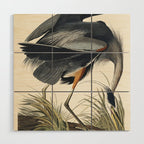 Great blue Heron from Birds of America (1827) by John James Audubon Wood Wall Art Gallery Image 1