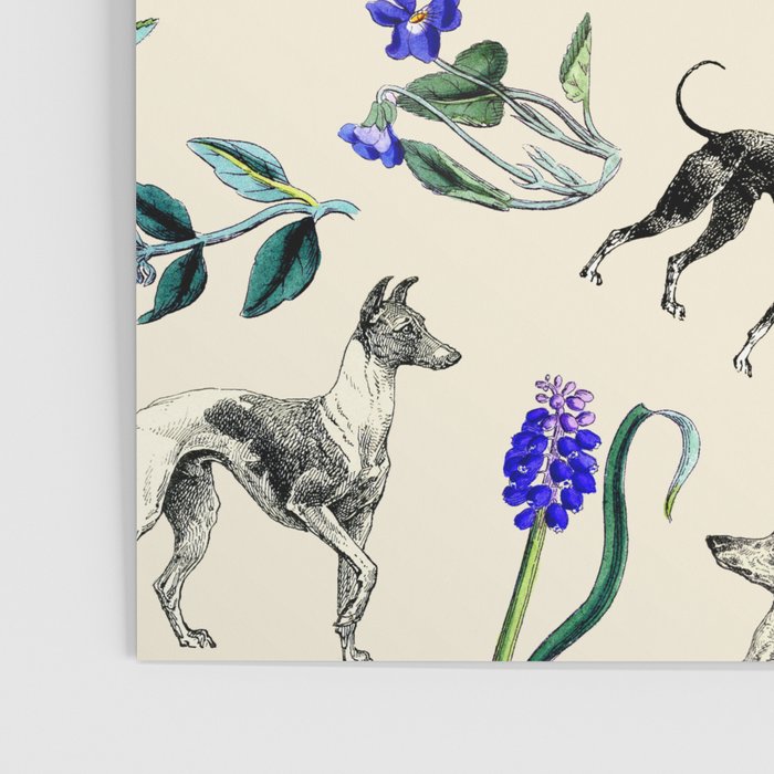 GREYHOUND DOGS and PRESSED FLOWERS Poster Gallery Image 3