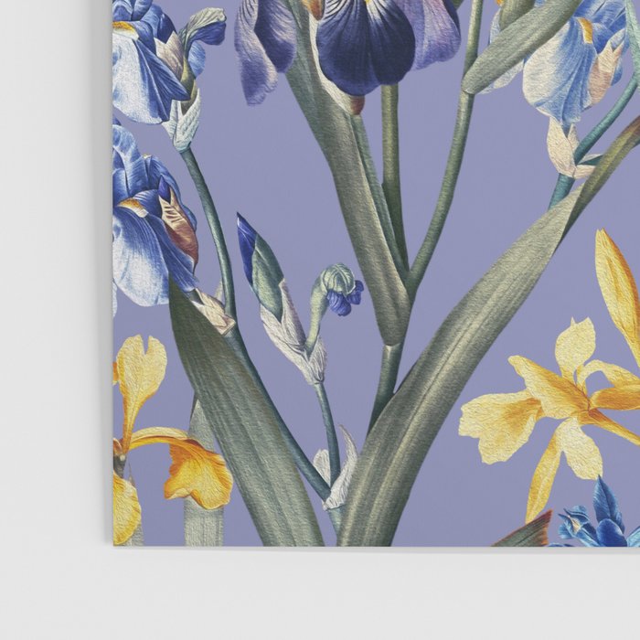 Iris Garden Poster Gallery Image 3