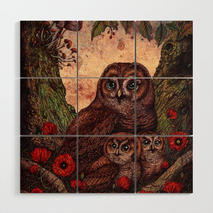 Tawny Owlets Wood Wall Art Gallery Image 1