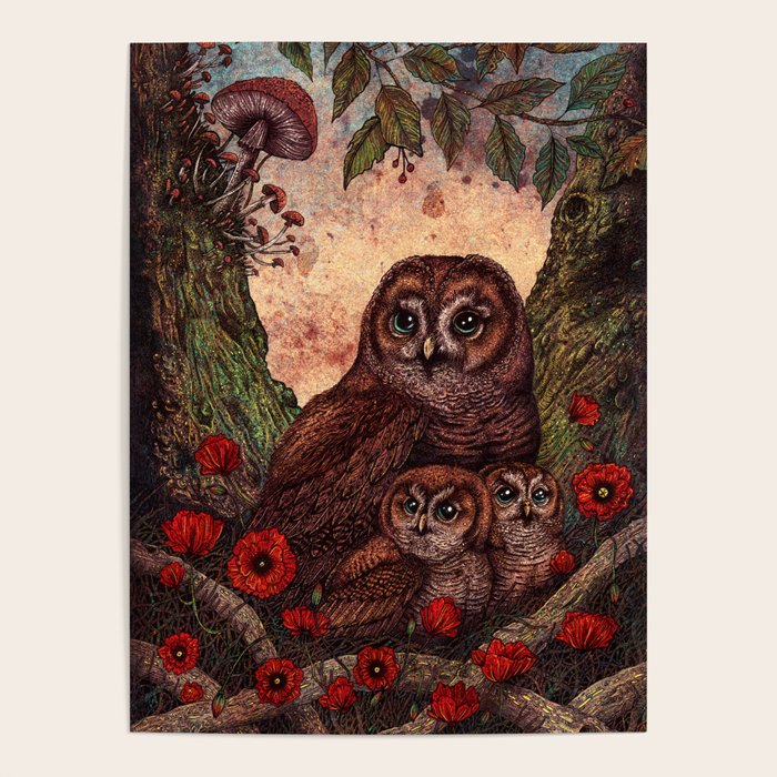 Tawny Owlets Poster Gallery Image 4