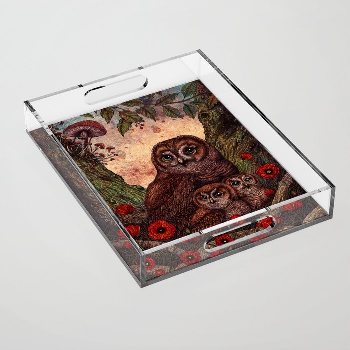 Tawny Owlets Acrylic Tray Gallery Image 1