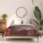Tawny Owlets Comforter Gallery Image 3