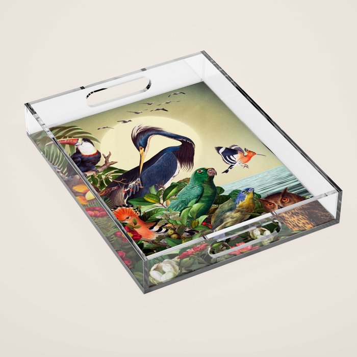 World of Birds Acrylic Tray Gallery Image 1