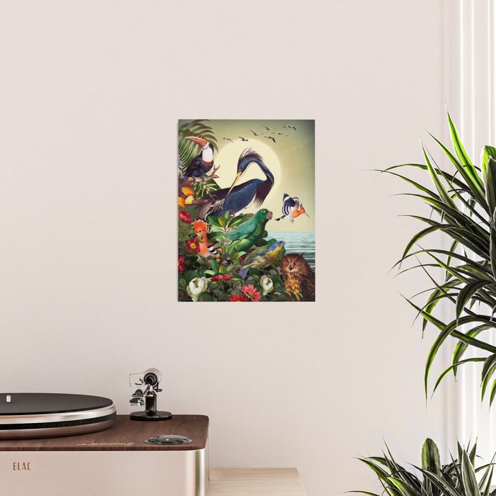 World of Birds Poster Gallery Image 2