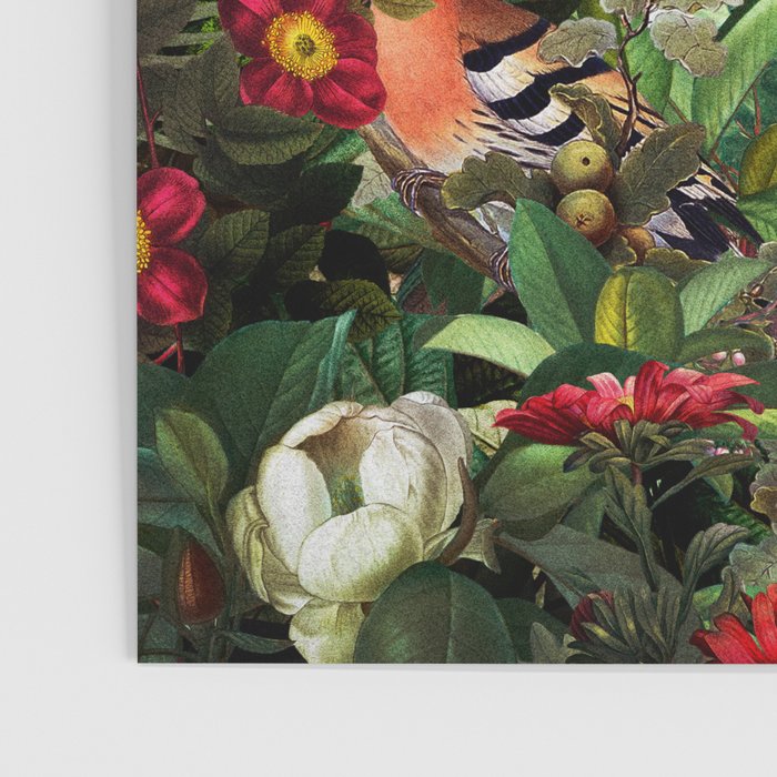 World of Birds Poster Gallery Image 3