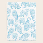 Manatees - Light Blue Poster Gallery Image 4