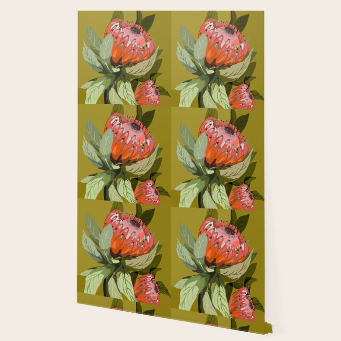 Protea, Australian native, flower, abstract, olive green, bright colors Wallpaper Gallery Image 2