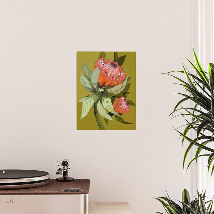 Protea, Australian native, flower, abstract, olive green, bright colors Poster Gallery Image 2