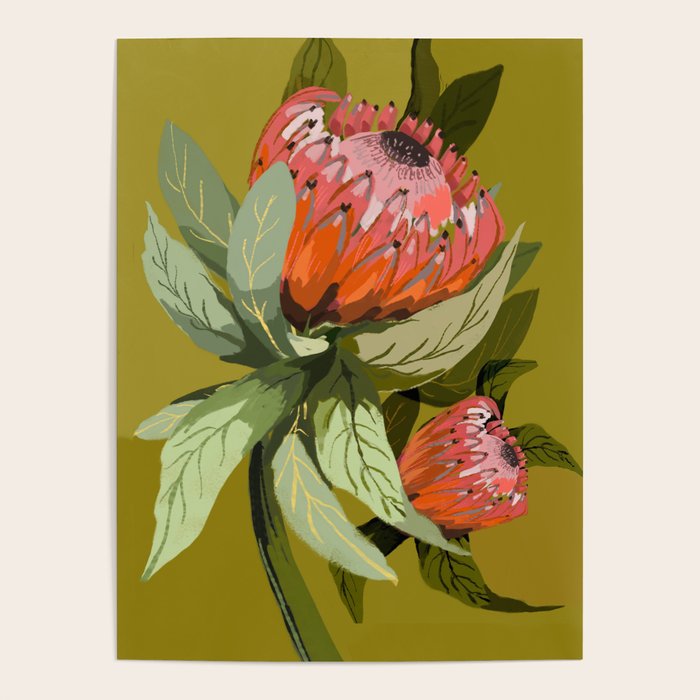 Protea, Australian native, flower, abstract, olive green, bright colors Poster Gallery Image 4