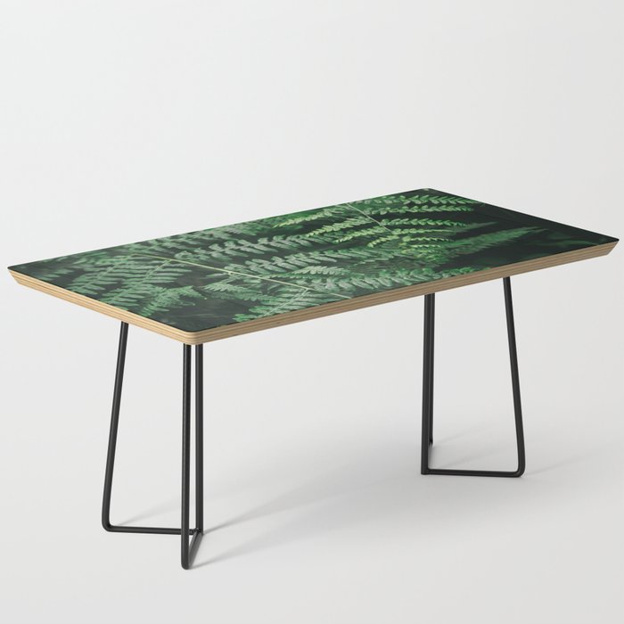 Ferns VI Coffee Table Gallery Image 1