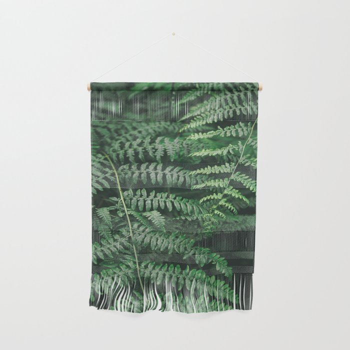Ferns VI Wall Hanging Gallery Image 1