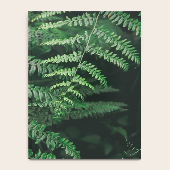Ferns VI Notebook Gallery Image 4