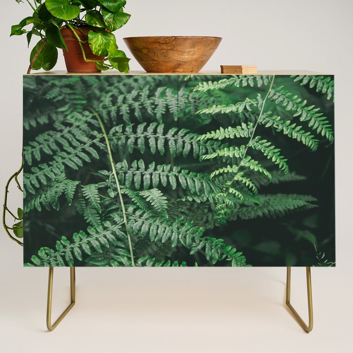 Ferns VI Credenza Gallery Image 1