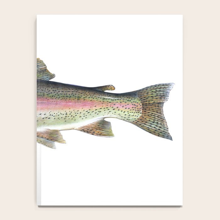Rainbow Trout Notebook Gallery Image 4