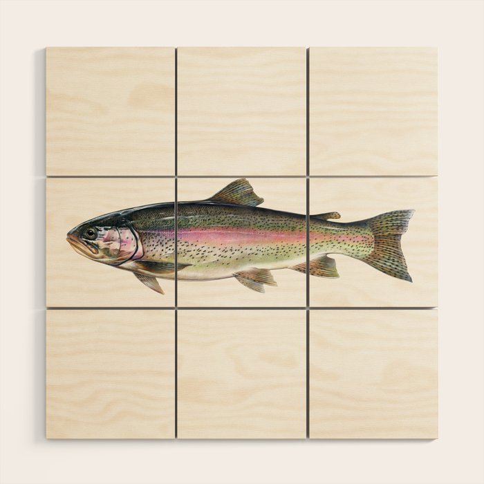 Rainbow Trout Wood Wall Art Gallery Image 1