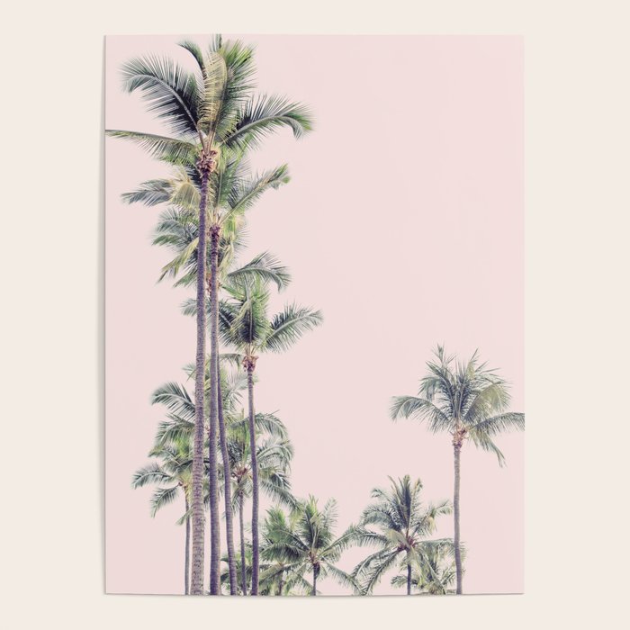 Palm Trees in La La Land - California Photography Poster Gallery Image 4