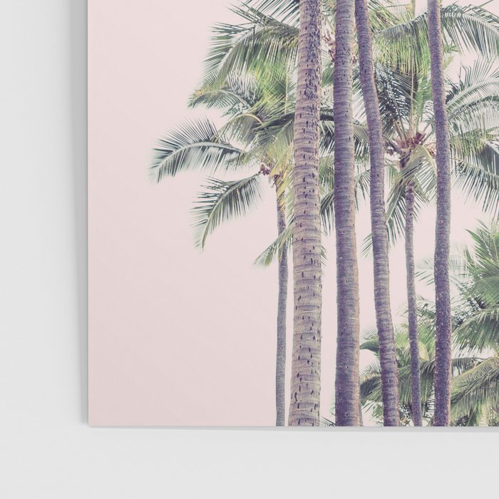 Palm Trees in La La Land - California Photography Poster Gallery Image 3