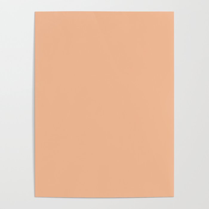 CARAMEL CREAM SOLID COLOR Plain Peach Pastel Shade Poster Gallery Image 4