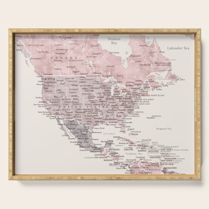 Dusty pink and cream watercolor detailed world map Madelia Serving Tray Gallery Image 1