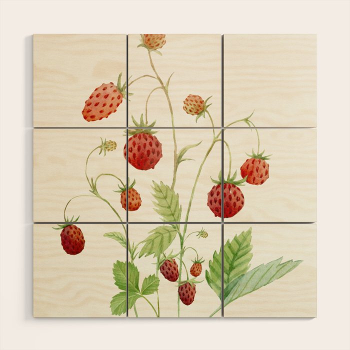 Wild Strawberries Wood Wall Art Gallery Image 1