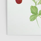 Wild Strawberries Poster Gallery Image 3