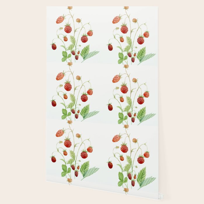 Wild Strawberries Wallpaper Gallery Image 2