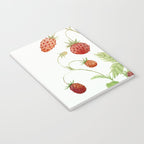 Wild Strawberries Notebook Gallery Image 3
