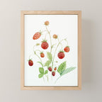 Wild Strawberries Mini Art Print Gallery Image 1