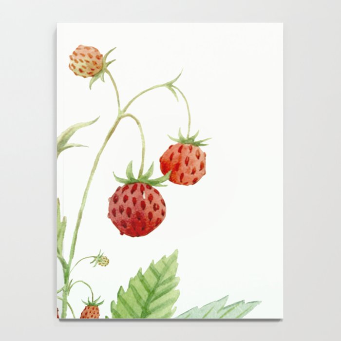 Wild Strawberries Notebook Gallery Image 4