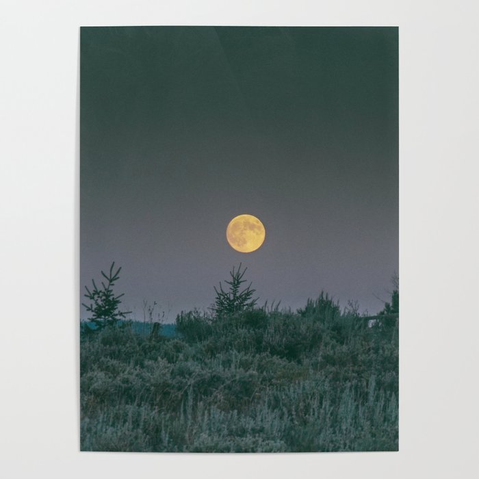 August Full Moon Poster Gallery Image 4