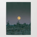 August Full Moon Poster Gallery Image 4