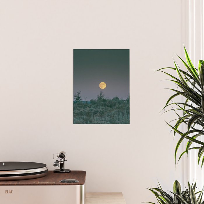 August Full Moon Poster Gallery Image 2