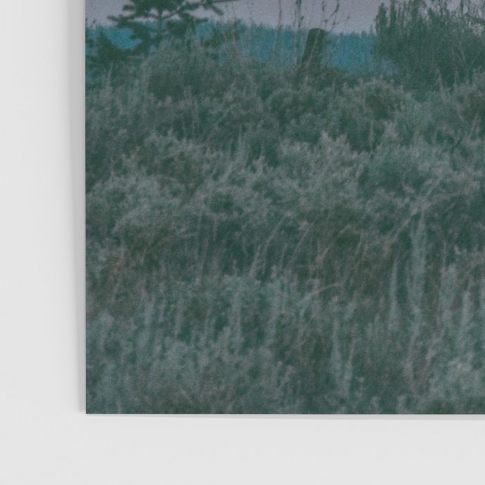 August Full Moon Poster Gallery Image 3