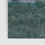 August Full Moon Poster Gallery Image 3