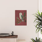 Owl on a Pine Branch Poster Gallery Image 2