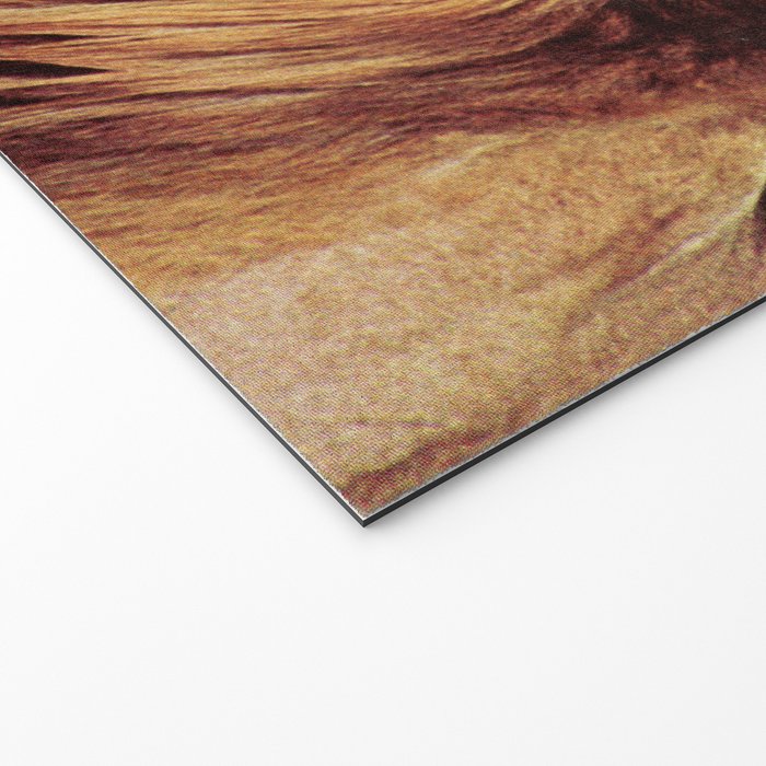 ROAR Welcome Mat Gallery Image 2