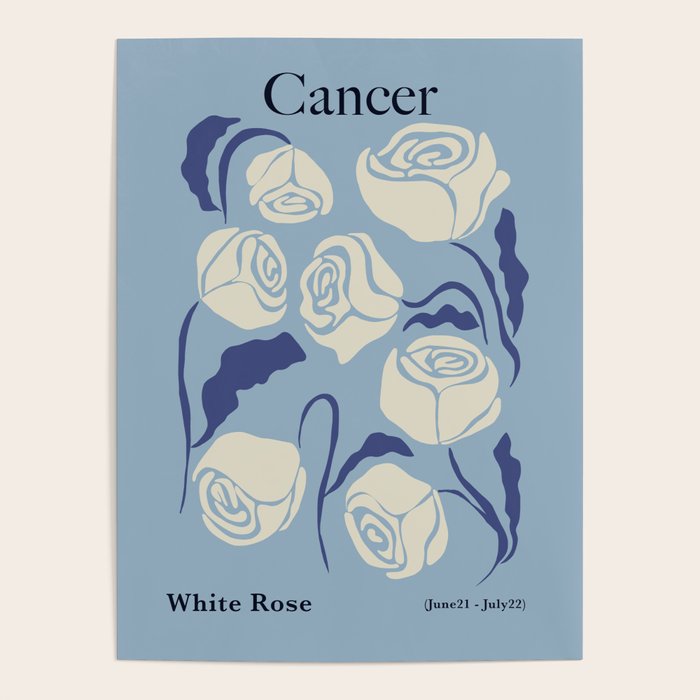 Cancer white rose  Poster Gallery Image 4